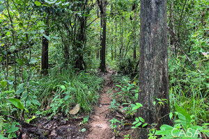 Działka na sprzedaż 40031m2 Las Lajas, Chiriquí - zdjęcie 3