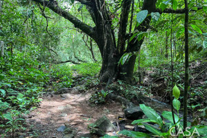 Działka na sprzedaż 40031m2 Las Lajas, Chiriquí - zdjęcie 1