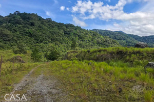 Działka na sprzedaż 36410m2 Volcán - zdjęcie 3