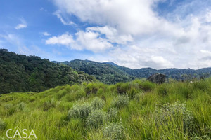 Działka na sprzedaż 36410m2 Volcán - zdjęcie 2