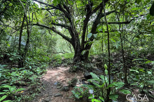 Działka na sprzedaż 40031m2 Lajas de Tolé - zdjęcie 1