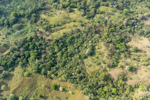 Działka na sprzedaż 76000m2 Cambutal - zdjęcie 3