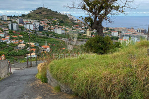 Działka na sprzedaż Madera Funchal São Martinho - zdjęcie 3