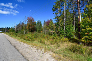 Działka na sprzedaż Rue Albert-Ferland, Chénéville, QC J0V1E0, CA - zdjęcie 1