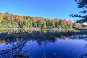 Działka na sprzedaż Ch. du Lac-Doré S., Duhamel, QC J0V1G0, CA - zdjęcie 1