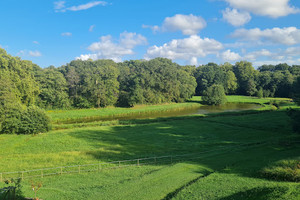 Dom na sprzedaż 330m2 - zdjęcie 3