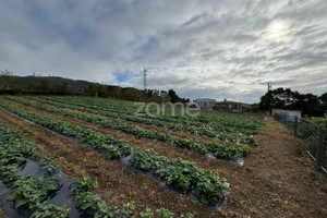 Działka na sprzedaż Azory Lagoa (Sao Miguel) - zdjęcie 1