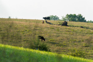 Działka na sprzedaż TBD Highway A (95ac) - zdjęcie 3