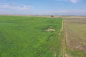 Działka na sprzedaż River Rd - zdjęcie 2