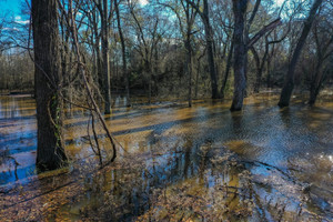 Działka na sprzedaż 648 County Road  - zdjęcie 2