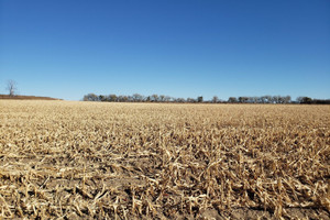 Działka na sprzedaż County Road  - zdjęcie 3