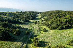 Działka na sprzedaż 000 Callahan Rd - zdjęcie 3