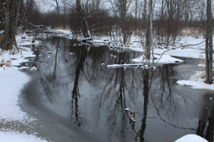 Działka na sprzedaż 7331 E. Polk Rd. - zdjęcie 3