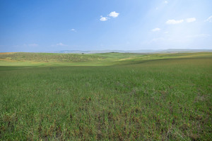 Działka na sprzedaż TBD County Road  - zdjęcie 1