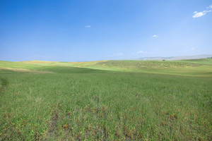 Działka na sprzedaż TBD County Road  - zdjęcie 2