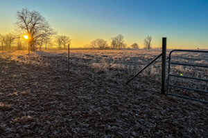 Działka na sprzedaż 12372 County Road  - zdjęcie 1