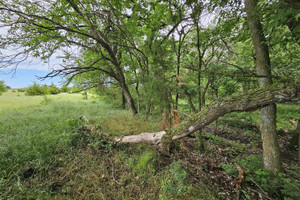 Działka na sprzedaż 0000 82nd Road - zdjęcie 2