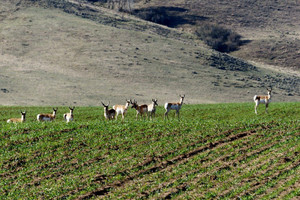 Działka na sprzedaż County Road  - zdjęcie 1