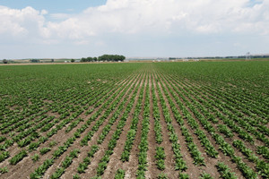 Działka na sprzedaż 9837 Road  - zdjęcie 2