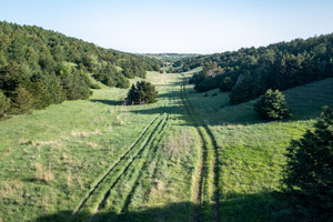 Działka na sprzedaż 000 Callahan Rd - zdjęcie 3