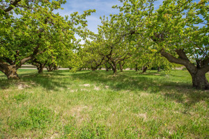 Działka na sprzedaż 13005 Lake Shore Dr - zdjęcie 3