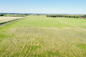 Działka na sprzedaż 79.47 Acres - zdjęcie 3