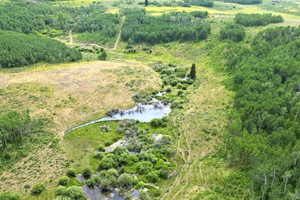 Działka na sprzedaż 55 Highway  - zdjęcie 2