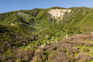 Działka na sprzedaż TBD Highway  - zdjęcie 3