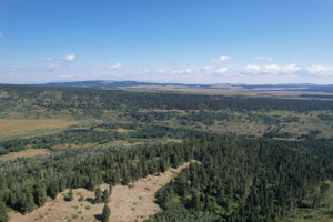 Działka na sprzedaż HWY  - zdjęcie 2