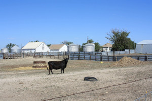 Działka na sprzedaż 356 County Road K - zdjęcie 2