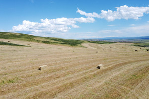 Działka na sprzedaż TBD County Road  - zdjęcie 3