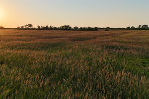 Działka na sprzedaż Bluestem Rd - zdjęcie 1