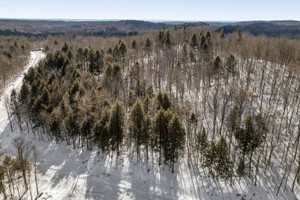 Działka na sprzedaż Ch. du Lac-Wilson, Brownsburg-Chatham, QC J8G0J8, CA - zdjęcie 1