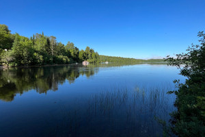 Działka na sprzedaż Ch. de la Pisciculture, Lac-des-Écorces, QC J0W1H0, CA - zdjęcie 3