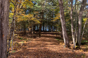 Działka na sprzedaż Ch. de la Presqu'île, Saint-Aimé-du-Lac-des-Îles, QC J0W1J0, CA - zdjęcie 1