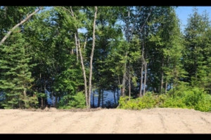 Działka na sprzedaż Ch. du Tour-du-Lac, Saint-Aimé-du-Lac-des-Îles, QC J0W1J0, CA - zdjęcie 3