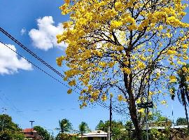 Działka na sprzedaż Manzana 130401 72-4, Chame, Provincia de Panamá Oeste, Panama - zdjęcie 2