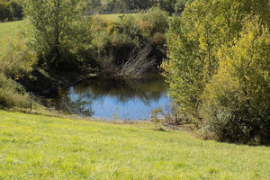 Dom na sprzedaż 156m2 - zdjęcie 3