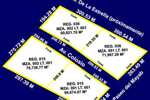 Działka na sprzedaż 60822m2 5 Avenida Norte - zdjęcie 3