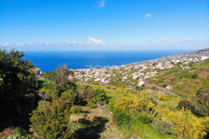 Działka na sprzedaż Madera Calheta (Madeira) - zdjęcie 1