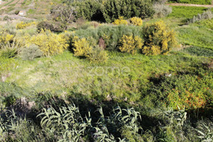 Działka na sprzedaż Madera Calheta (Madeira) - zdjęcie 3