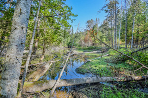 Działka na sprzedaż Route du Parc, Sainte-Anne-des-Monts, QC G4V0A9, CA - zdjęcie 3