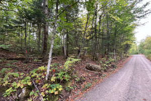 Działka na sprzedaż Mtée du Lac-Noir, Sainte-Marguerite-du-Lac-Masson, QC J0T1L0, CA - zdjęcie 1