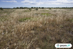 Komercyjne na sprzedaż 5210m2 - zdjęcie 3