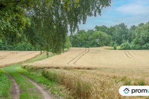 Komercyjne na sprzedaż 6460m2 - zdjęcie 1