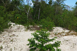 Działka na sprzedaż Quintana Roo ALFONSO ALARCON MORALÍ, . - zdjęcie 3