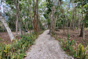 Działka na sprzedaż Quintana Roo Rancho ecologico wotoch, S/N - zdjęcie 2