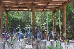 Działka na sprzedaż Quintana Roo RUTA DE LOS CENOTES, KM 26. - zdjęcie 2