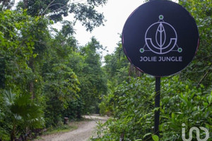 Działka na sprzedaż Quintana Roo RUTA DE LOS CENOTES, KM 26. - zdjęcie 1