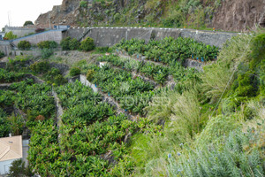 Działka na sprzedaż Arco da Calheta - zdjęcie 1